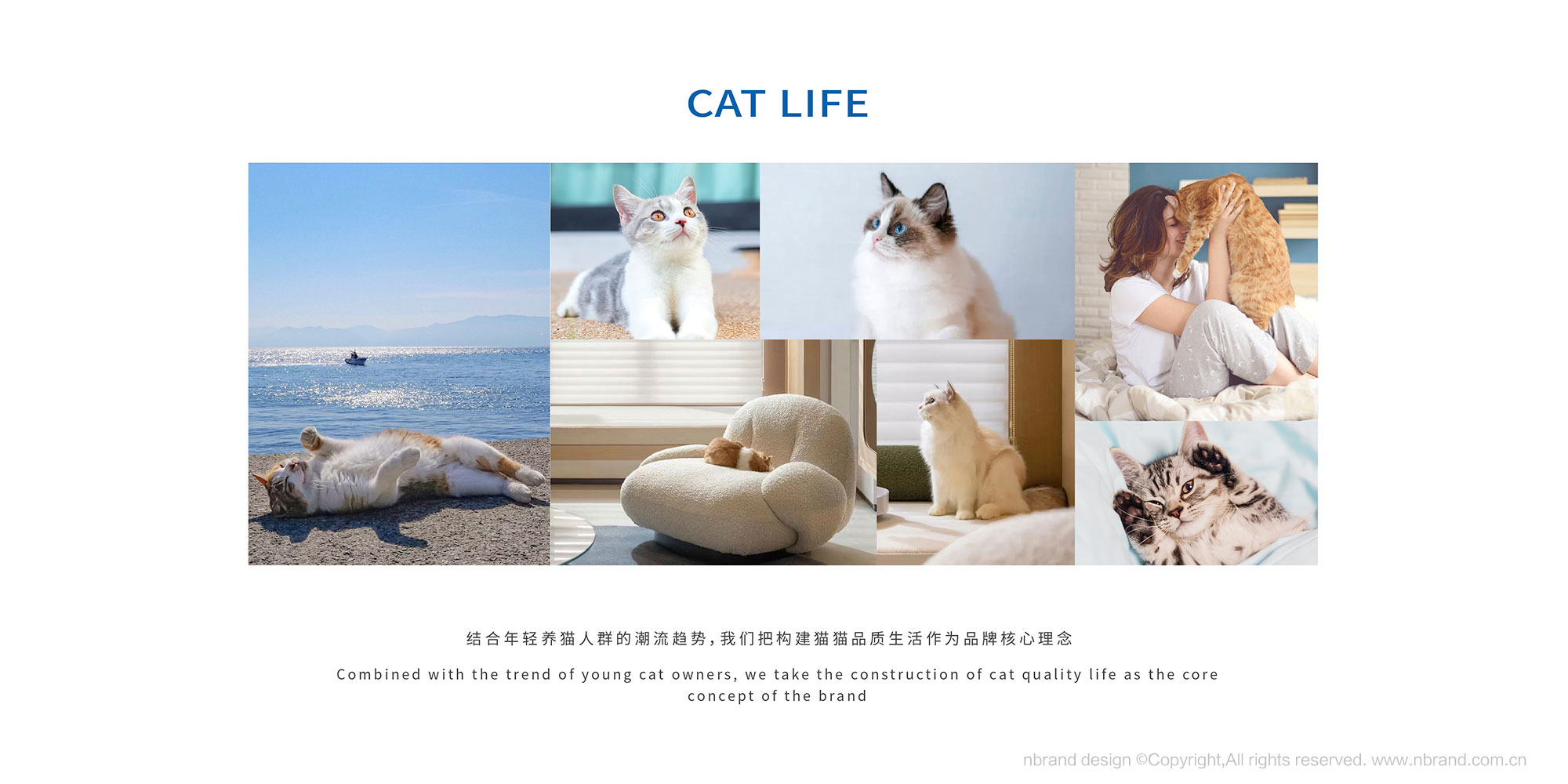 ���b�O(sh��)Ӌ(j��): �샞(y��u)؈ɰ���b�O(sh��)Ӌ(j��),�a(ch��n)Ʒ���b�O(sh��)Ӌ(j��),Ʒ���O(sh��)Ӌ(j��)